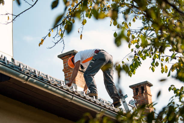 Best Best Roofing Contractors  in Beecher, MI