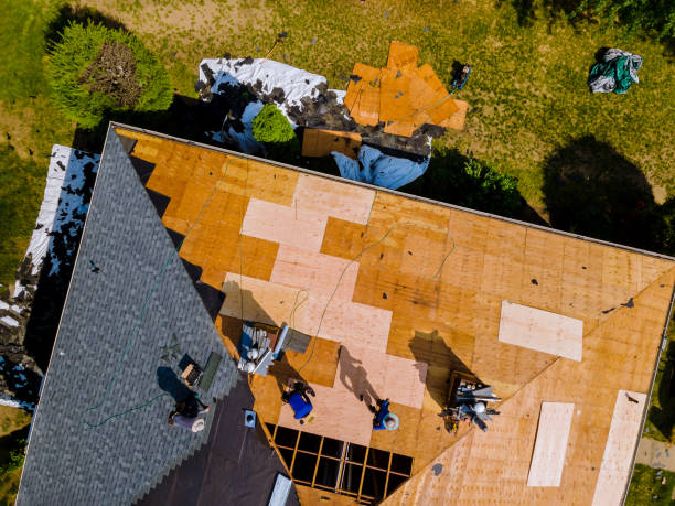 Trusted Beecher, MI Roofing Contractor Experts