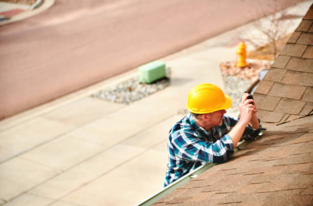 Best Roof Gutter Cleaning  in Beecher, MI