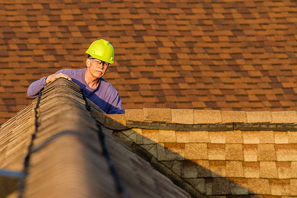 Best Storm Damage Roof Repair  in Beecher, MI