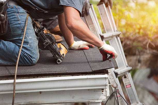 Best Roof Waterproofing Services  in Beecher, MI